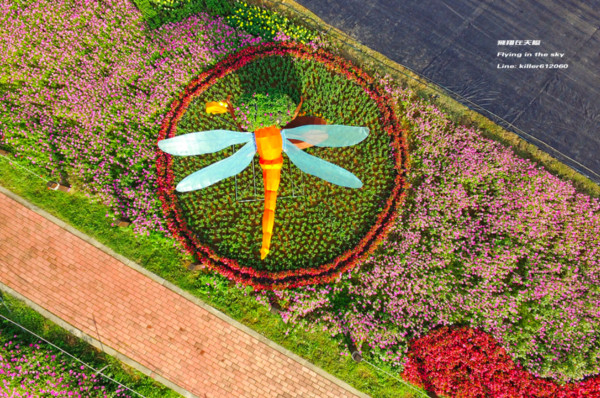 ▲2017台中国际花毯节。（图／摄影师《飞翔在天际》提供，请勿随意翻拍，以免侵权。）