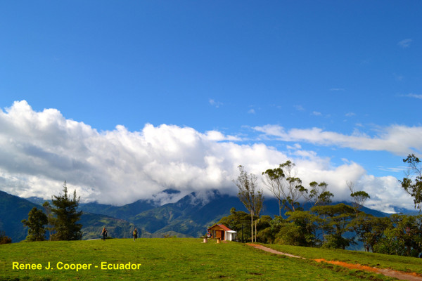 ▲%级蚬隙喽?La Casa del Arbol秋千树屋。(图/RENÉE J.COOPER提供,请勿任意翻摄以免侵权)http://vamossunshine.com/zh/