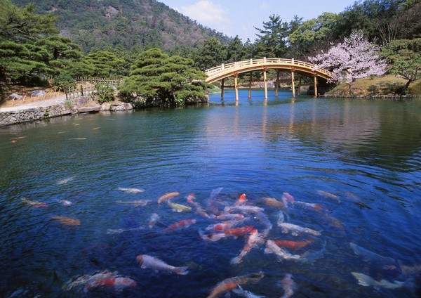 ▲日本四国山阴山阳。(图/七逗旅游网)