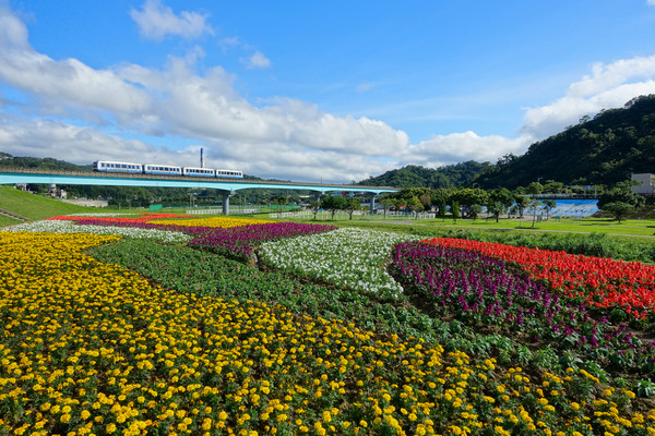 ▲道南河滨花海。(图/台北市政府提供)
