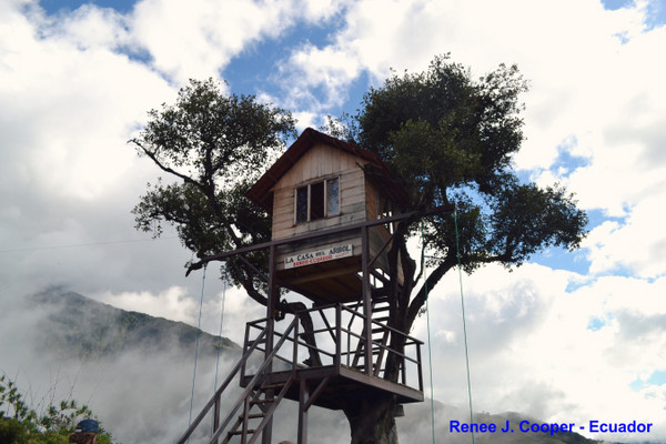 ▲%级蚬隙喽?La Casa del Arbol秋千树屋。(图/RENÉE J.COOPER提供,请勿任意翻摄以免侵权)http://vamossunshine.com/zh/