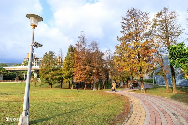 ▲台北市大湖公园落羽松。（图／好景点 foncc.com提供）