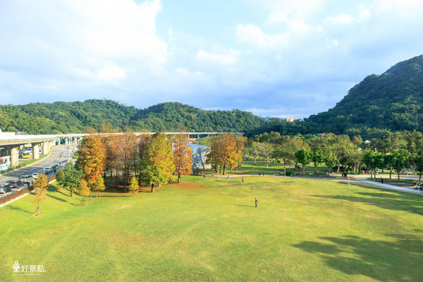 ▲台北市大湖公园落羽松。（图／好景点 foncc.com提供）