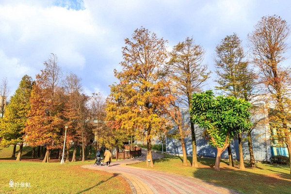 ▲台北市大湖公园落羽松。（图／好景点 foncc.com提供）