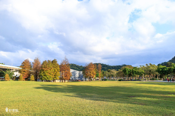 ▲台北市大湖公园落羽松。（图／好景点 foncc.com提供）