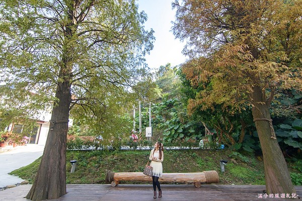 ▲新竹关西大乐之野景观餐厅赏落羽松。(图/满分的旅游札记提供)