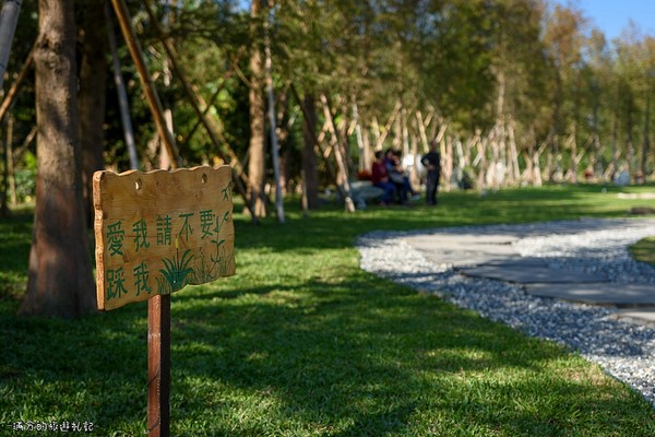 ▲新竹关西大乐之野景观餐厅赏落羽松。(图/满分的旅游札记提供)