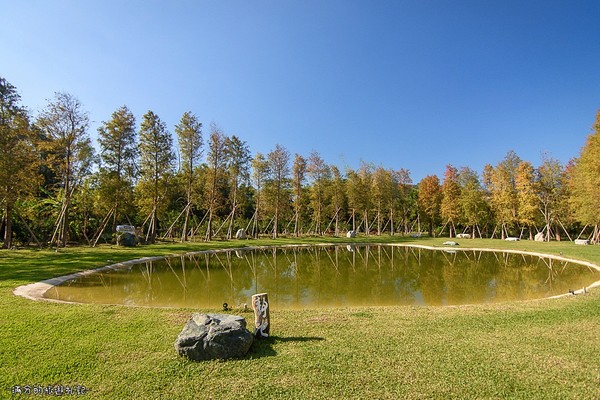 ▲新竹关西大乐之野景观餐厅赏落羽松。(图/满分的旅游札记提供)