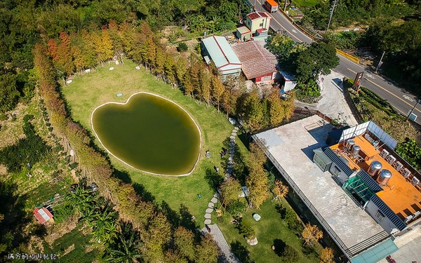 ▲新竹关西大乐之野景观餐厅赏落羽松。(图/满分的旅游札记提供)