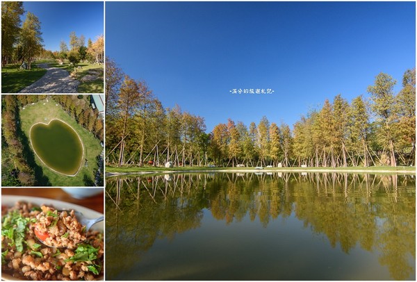 ▲新竹关西大乐之野景观餐厅赏落羽松。(图/满分的旅游札记提供)