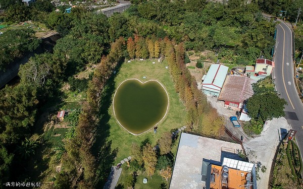 ▲新竹关西大乐之野景观餐厅赏落羽松。(图/满分的旅游札记提供)