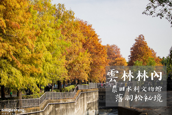 ▲云林 农田水利文物馆-落羽松。(图/道格拉斯.方提供)