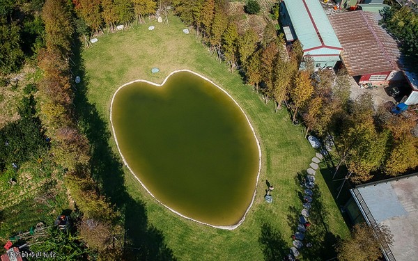 ▲新竹关西大乐之野景观餐厅赏落羽松。(图/满分的旅游札记提供)