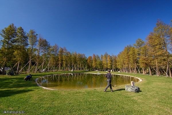 ▲新竹关西大乐之野景观餐厅赏落羽松。(图/满分的旅游札记提供)
