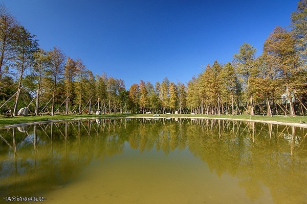 ▲新竹关西大乐之野景观餐厅赏落羽松。(图/满分的旅游札记提供)