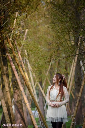 ▲新竹关西大乐之野景观餐厅赏落羽松。(图/满分的旅游札记提供)
