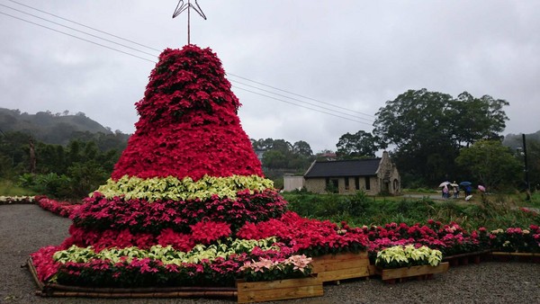 ▲三民山城红花灯火节。（图／桃园市大三民休闲农业发展协会提供）