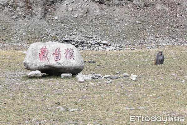 四川达古冰山景区。(图/记者黄琬茹摄)