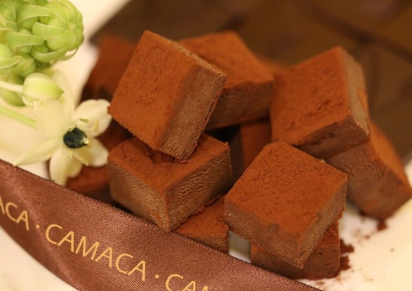 ▲云林斗六CAMACA卡莫卡巧克力庄园。(图/CAMACA提供)
