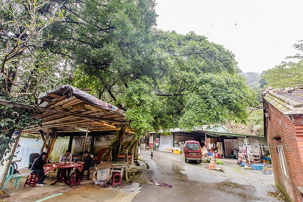 ▲桃园阮家庄土鸡城-老大店。(图/小虎食梦网提供)