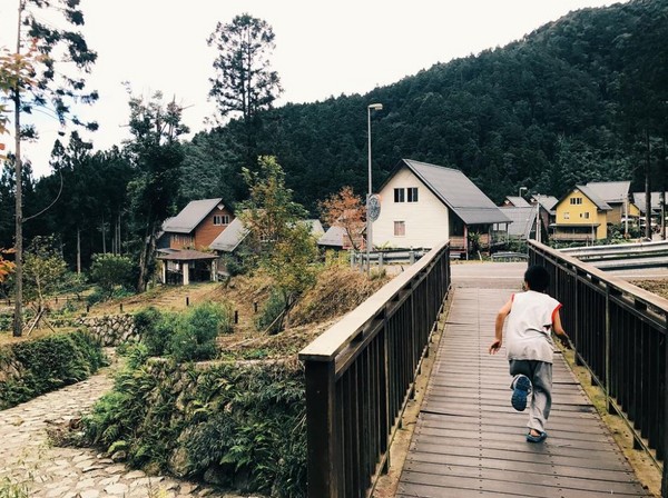 ▲嘉义阿里山得恩亚纳。(图/IG@gary_wu7提供,请勿任意翻摄以免侵权)