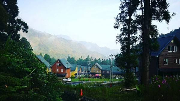 ▲嘉义阿里山得恩亚纳。(图/IG@cyj999提供,请勿任意翻摄以免侵权)