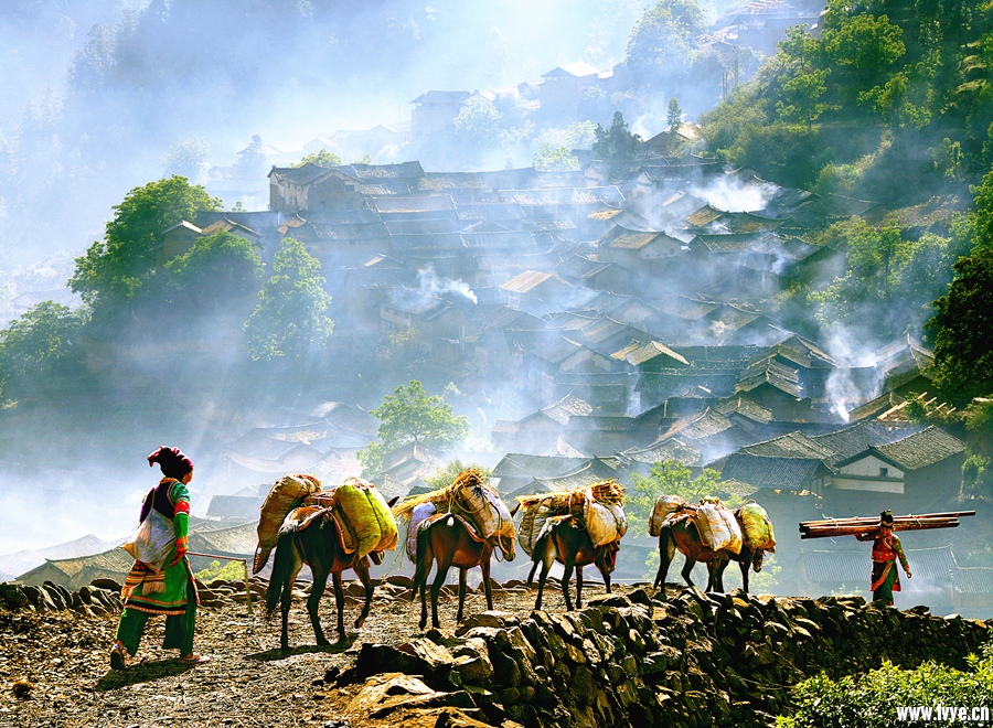 zhuomulang.png