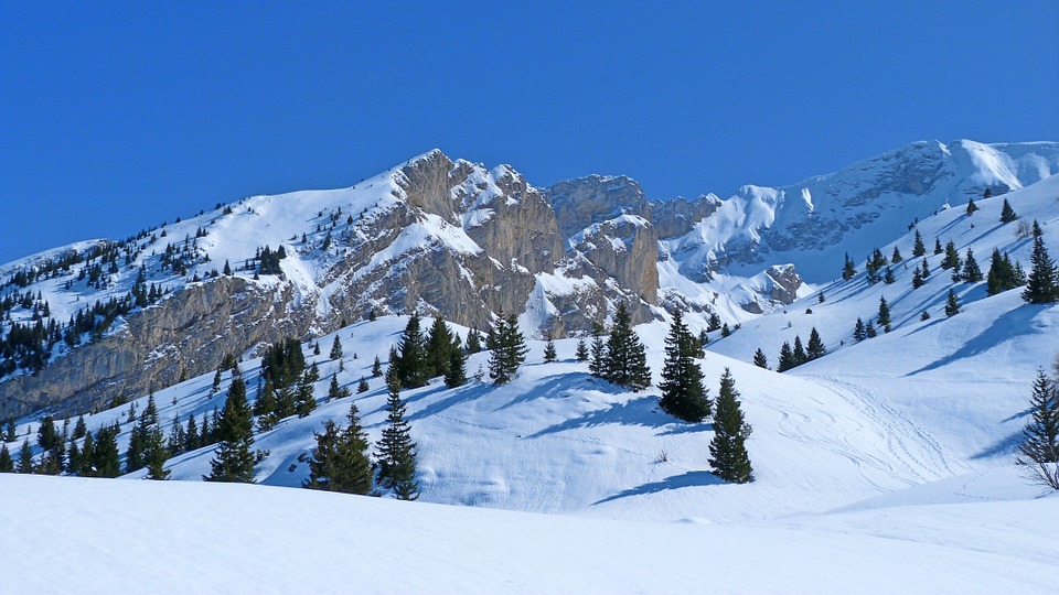 landscape-711432_960_720.jpg