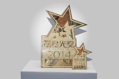 中国酒店星光奖