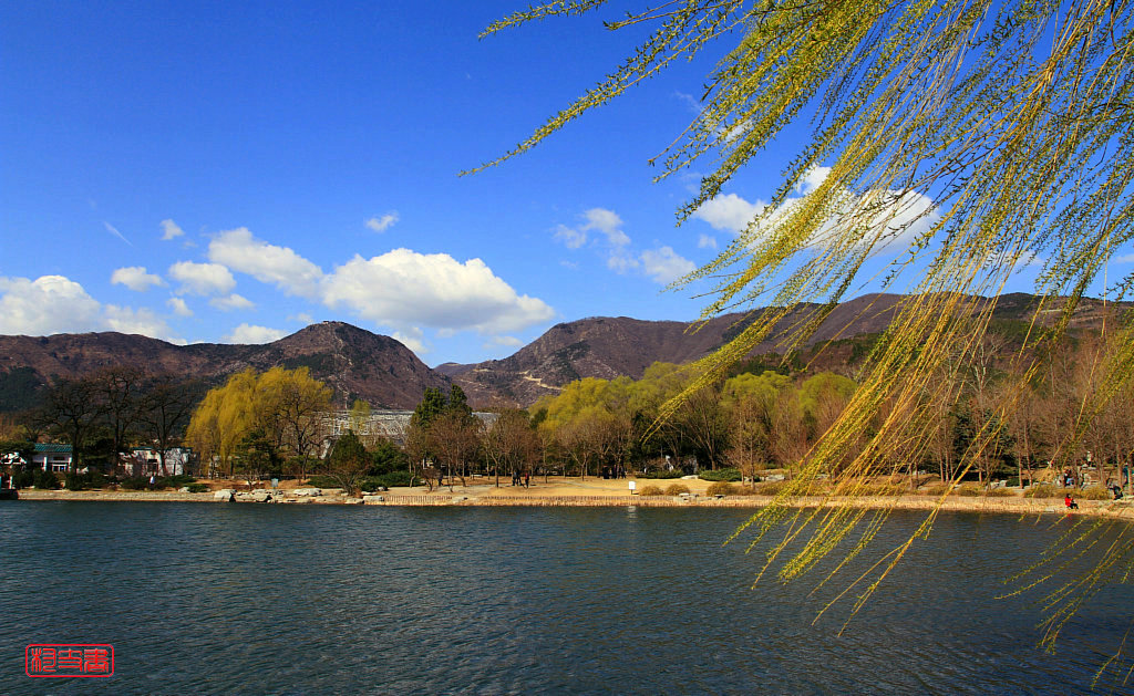IMG_4447_副本.JPG IMG_4447_副本.JPG